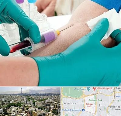 آزمایشگاه در منزل در گیشا 