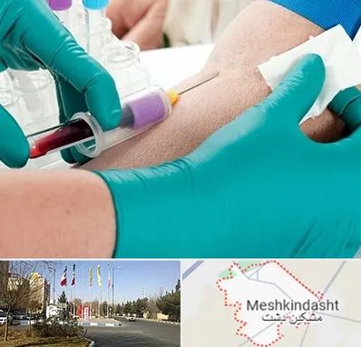 آزمایشگاه در منزل در مشکین دشت