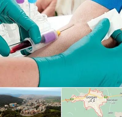 آزمایشگاه در منزل در گرگان