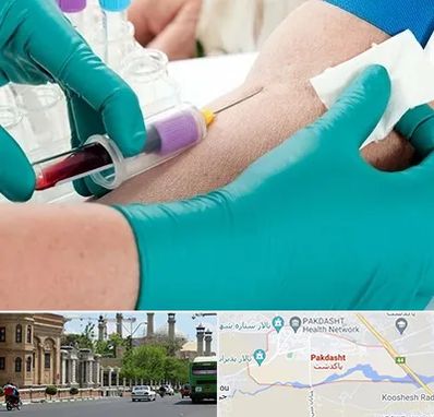 آزمایشگاه در منزل در پاکدشت