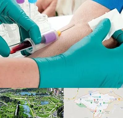 آزمایشگاه در منزل در بجنورد