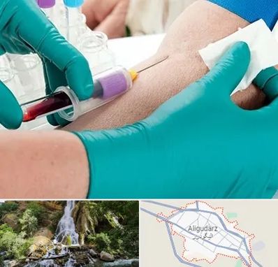 آزمایشگاه در منزل در الیگودرز