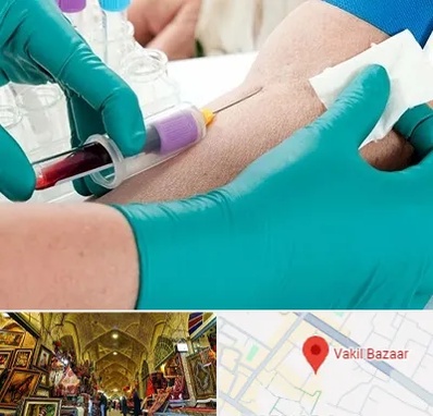 آزمایشگاه در منزل در بازار وکیل شیراز