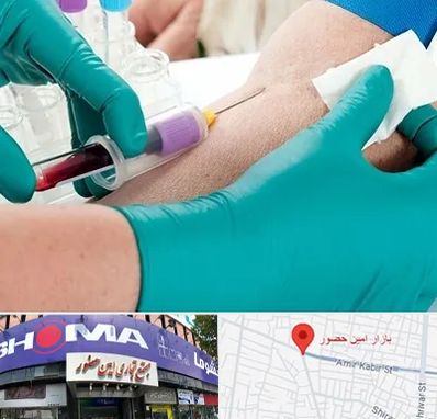 آزمایشگاه در منزل در امین حضور