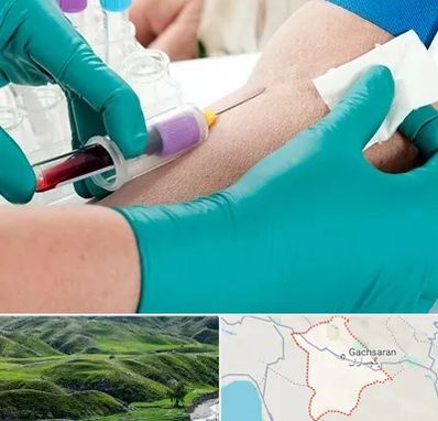 آزمایشگاه در منزل در گچساران