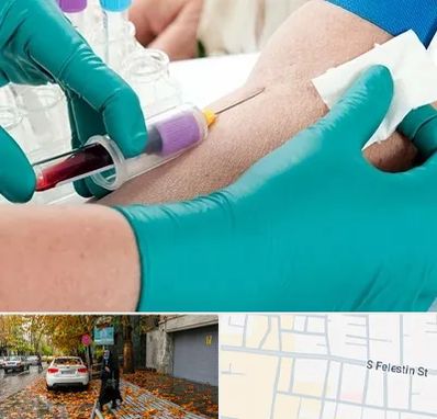 آزمایشگاه در منزل در خیابان فلسطین