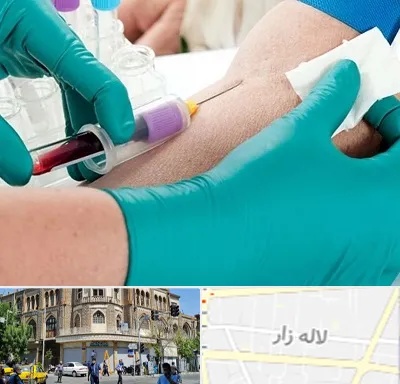 آزمایشگاه در منزل در لاله زار