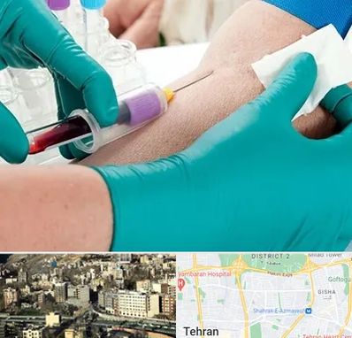 آزمایشگاه در منزل در مرزداران 