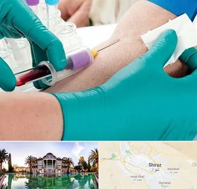 آزمایشگاه در منزل در شیراز