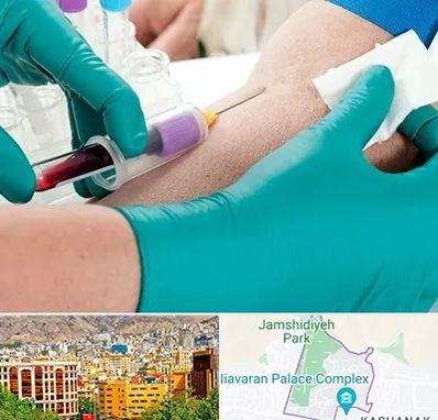 آزمایشگاه در منزل در نیاوران 