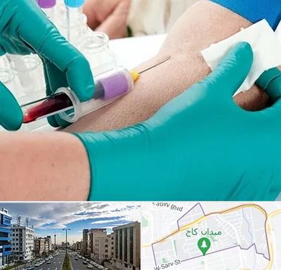 آزمایشگاه در منزل در سعادت آباد 