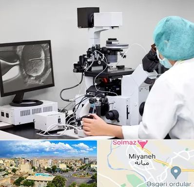 آزمایشگاه اسپرموگرام در میانه