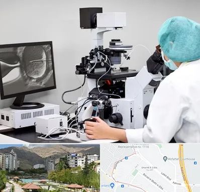 آزمایشگاه اسپرموگرام در شهر زیبا 