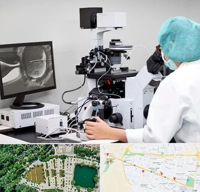 آزمایشگاه اسپرموگرام در وکیل آباد مشهد