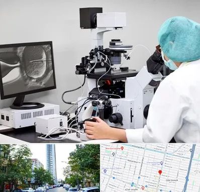 آزمایشگاه اسپرموگرام در امامت مشهد