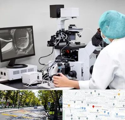 آزمایشگاه اسپرموگرام در میرداماد 