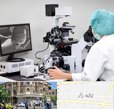 آزمایشگاه اسپرموگرام در لاله زار