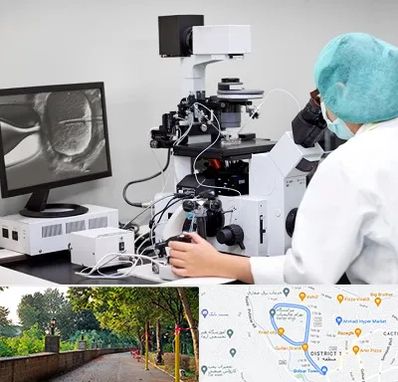 آزمایشگاه اسپرموگرام در فلکه گاز رشت