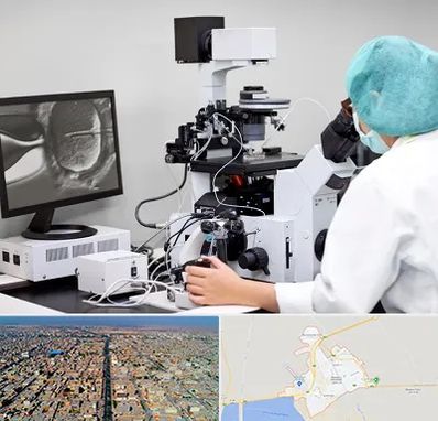 آزمایشگاه اسپرموگرام در بندر ماهشهر