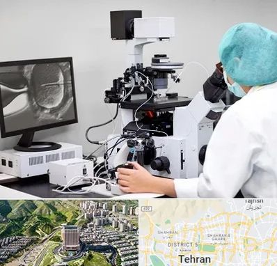 آزمایشگاه اسپرموگرام در شمال تهران 