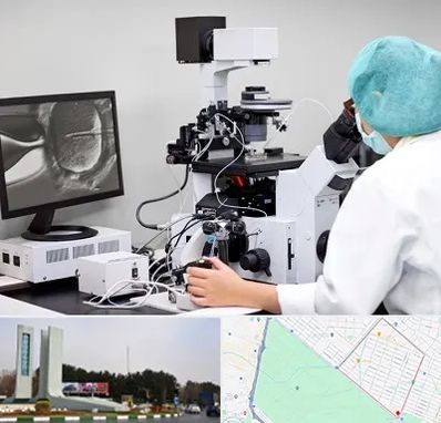آزمایشگاه اسپرموگرام در بلوار فلسیطین مشهد