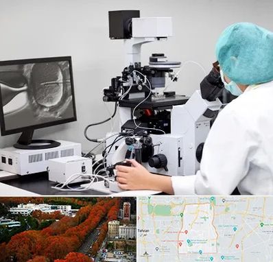 آزمایشگاه اسپرموگرام در منطقه 6 تهران 