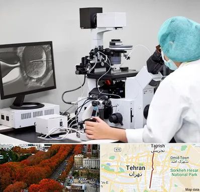 آزمایشگاه اسپرموگرام در ولیعصر 