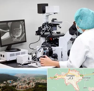 آزمایشگاه اسپرموگرام در گرگان