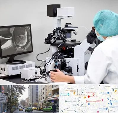 آزمایشگاه اسپرموگرام در فاطمی 