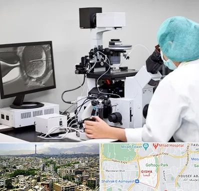 آزمایشگاه اسپرموگرام در گیشا 
