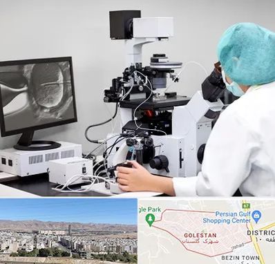 آزمایشگاه اسپرموگرام در شهرک گلستان شیراز