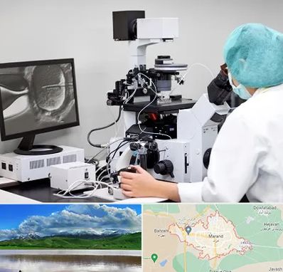 آزمایشگاه اسپرموگرام در مرند