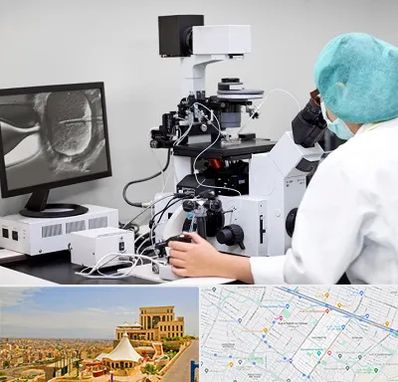 آزمایشگاه اسپرموگرام در هاشمیه مشهد