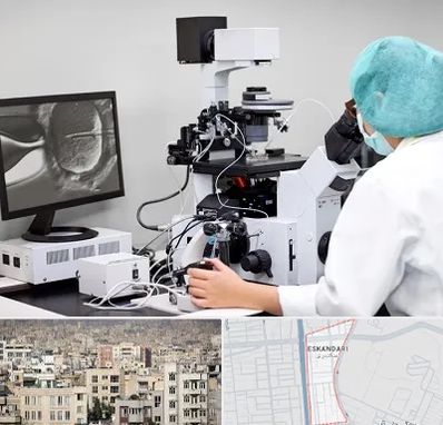 آزمایشگاه اسپرموگرام در اسکندری