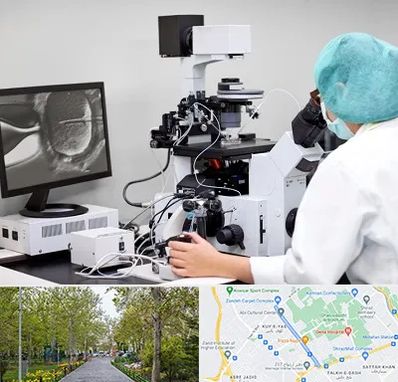 آزمایشگاه اسپرموگرام در قدوسی غربی شیراز