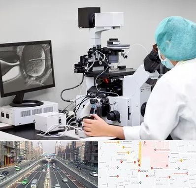 آزمایشگاه اسپرموگرام در توحید 