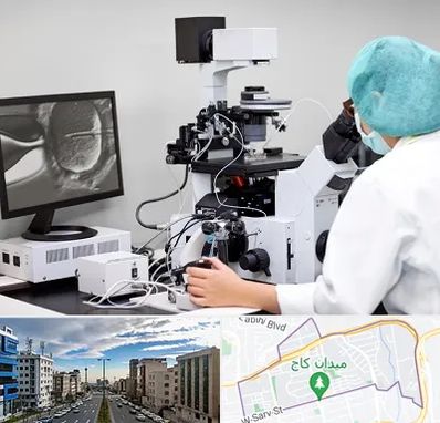 آزمایشگاه اسپرموگرام در سعادت آباد 