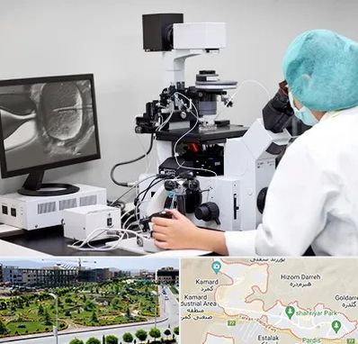 آزمایشگاه اسپرموگرام در پردیس