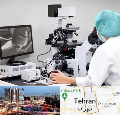 آزمایشگاه اسپرموگرام در صادقیه 