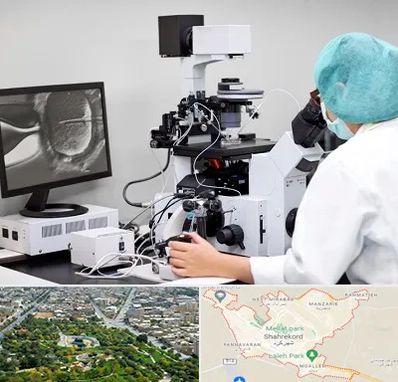 آزمایشگاه اسپرموگرام در شهرکرد