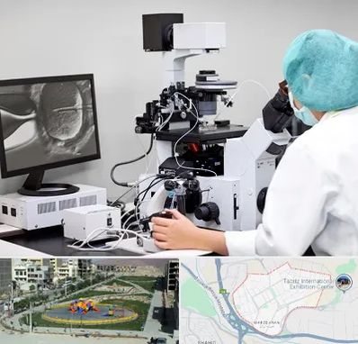 آزمایشگاه اسپرموگرام در مرزداران تبریز