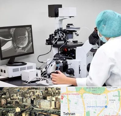 آزمایشگاه اسپرموگرام در مرزداران 