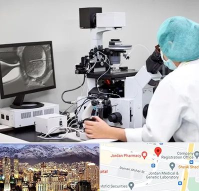 آزمایشگاه اسپرموگرام در جردن 