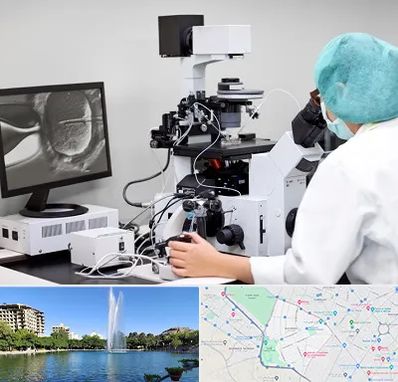 آزمایشگاه اسپرموگرام در کوهسنگی مشهد