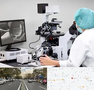 آزمایشگاه اسپرموگرام در دولت