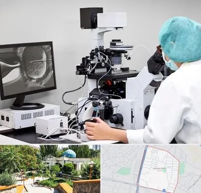 آزمایشگاه اسپرموگرام در باغمیشه تبریز