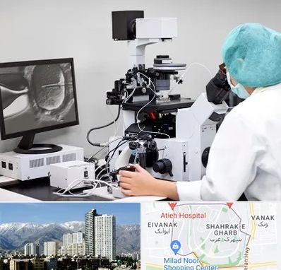 آزمایشگاه اسپرموگرام در شهرک غرب 