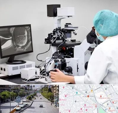 آزمایشگاه اسپرموگرام در خیابان زند شیراز