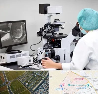 آزمایشگاه اسپرموگرام در الهیه مشهد