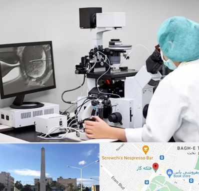 آزمایشگاه اسپرموگرام در فلکه گاز شیراز